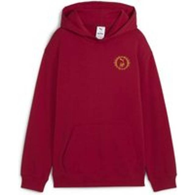 Puma PUMA X HARRY POTTER Relaxed Gr Hoodie Sweater red - 12 Years