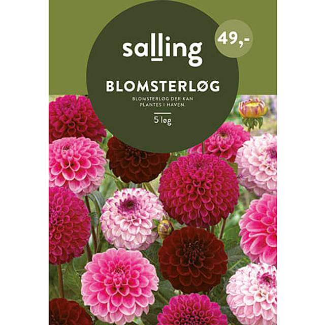 Salling Blomsterløg 5 Stk Plante