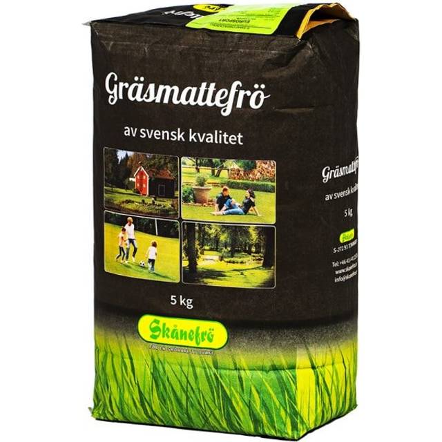 Skånefrö Gräsfrö 100 Svingel 5kg -