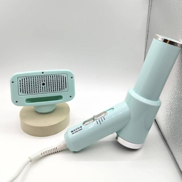 Eu Plug 2 In 1 Dog Cat Hair Dryer Pet Grooming Comb Brush Electric Fur Comb Blower