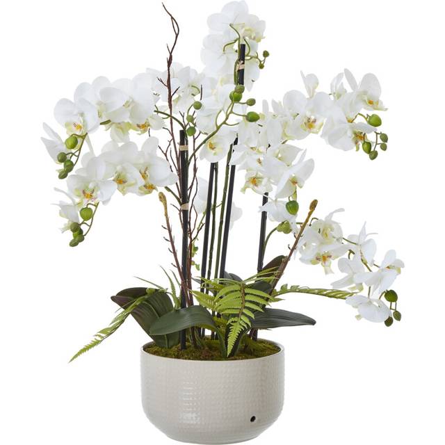 Large Orchid in Pot - Plastic/Ceramic - L60 x W65 x H76 cm - White