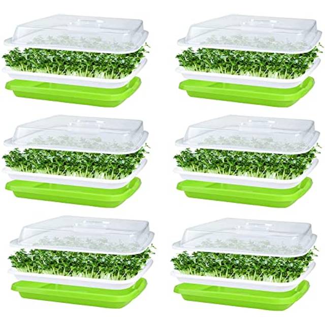 KAHEIGN 6Pcs Seed Sprouting Trays with Lid, 32cm x 26cm Large Capacity Germination Tray BPA Free Healthy Hydroponic Propagator with 24Pcs Plantin