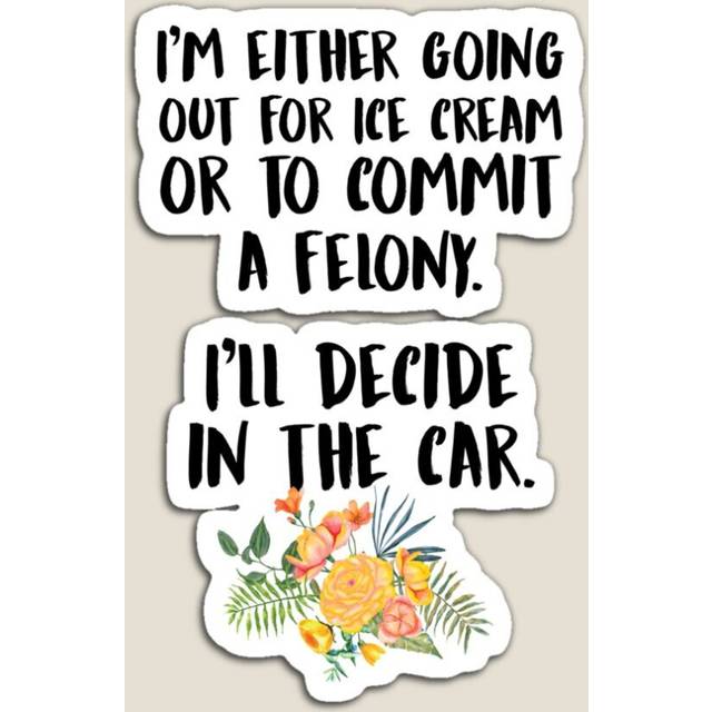 Fridge Magnets Ice Cream Or A Felony Acrylic Meme Decoration for Home Kitchen Office