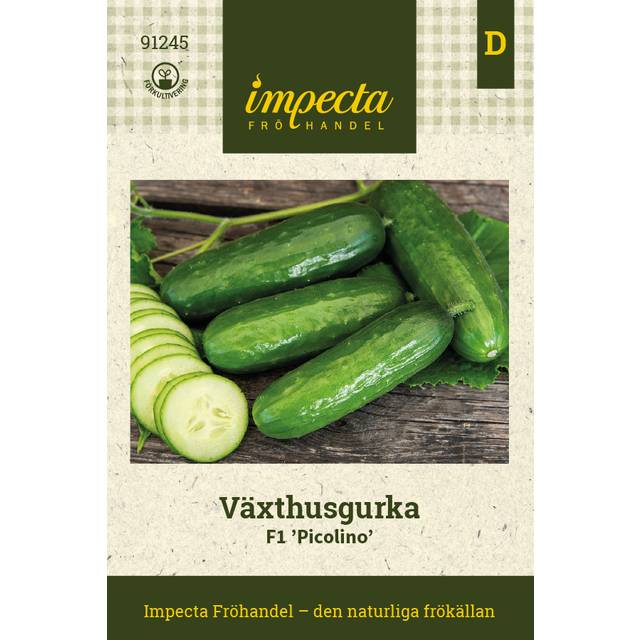 Växthusgurka F1 Picolino