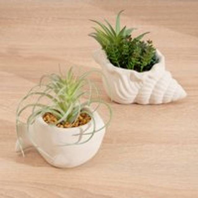 Set of 2 Artificial Succulents in Cement Fish & Shell Plant Pots - Green