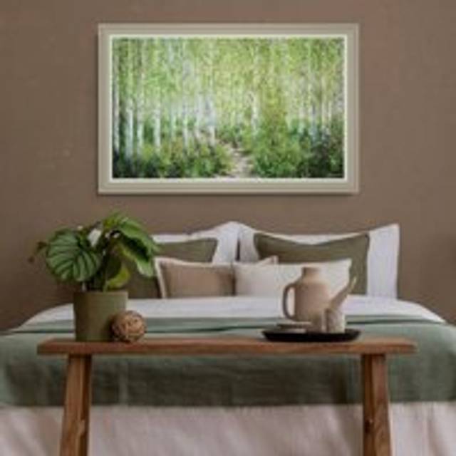 Forest Light Framed Print - Green