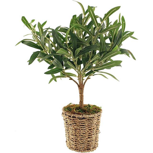 Churchgate Artificial Small Olive Tree in Woven Plant Pot - Green