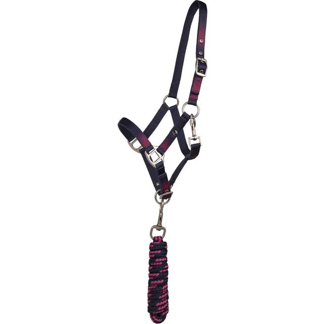 Duo licol et longe pour cheval QHP Jaily - Bleu