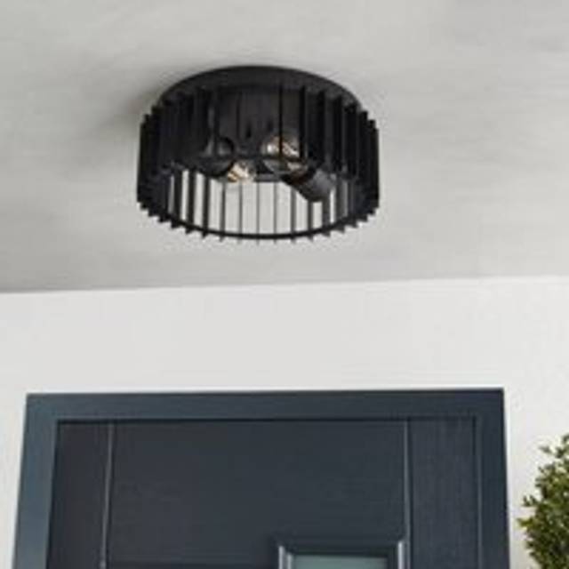 Reno Industrial Outdoor 2 Light Flush Ceiling Light - Black