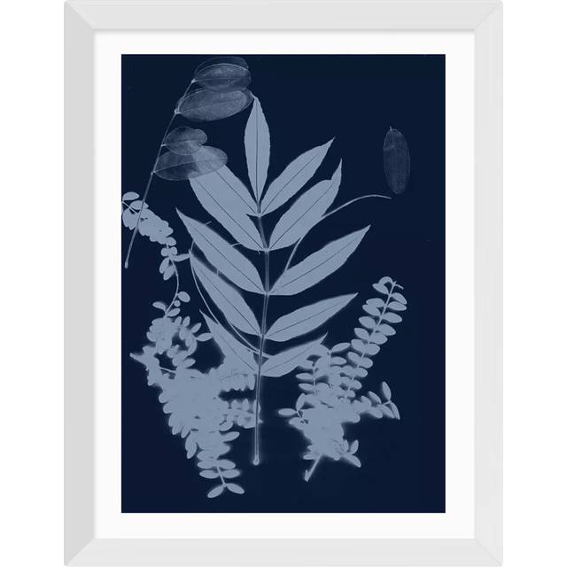 EAST END PRINTS Herald Black 'Cyano Foliage 1' Framed Print