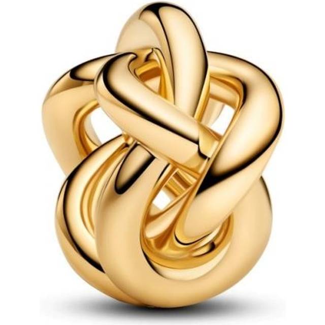 Pandora  Charms Infinity Knot Charm 763755C00