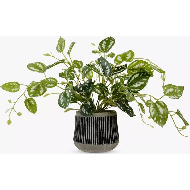 John Lewis Artificial Golden Pothos Plant in Black Pot