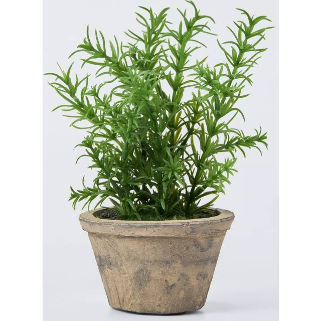 John Lewis Artificial Rosemary Plant in Rustic Ceramic Pot