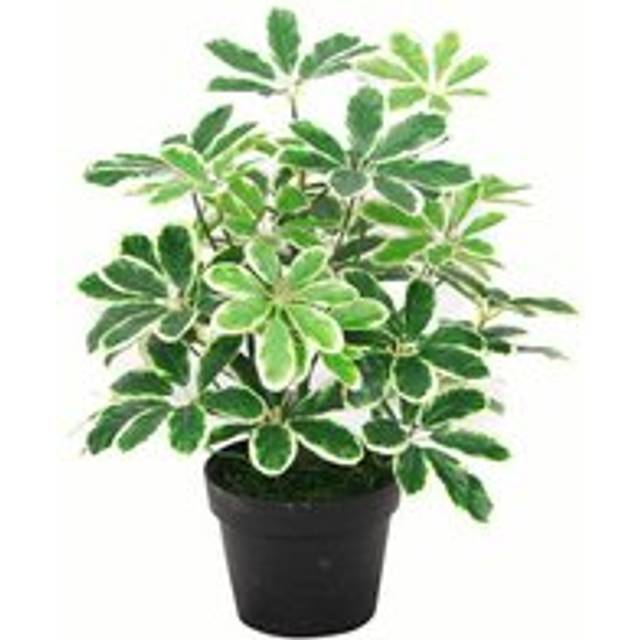 Artificial Arboricola Plant Umbrella Tree Black Plastic Pot 55Cm Light Plant Botanik, Green