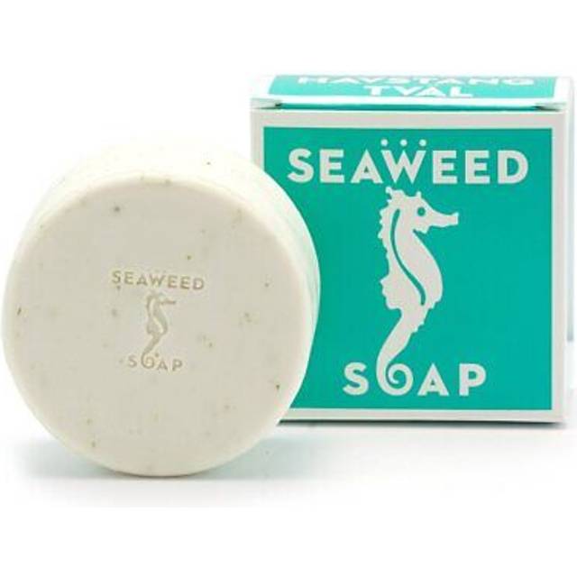Swedish Dream Moisturizing Seaweed Soap Havstang Tval43 oz Bar by Kala