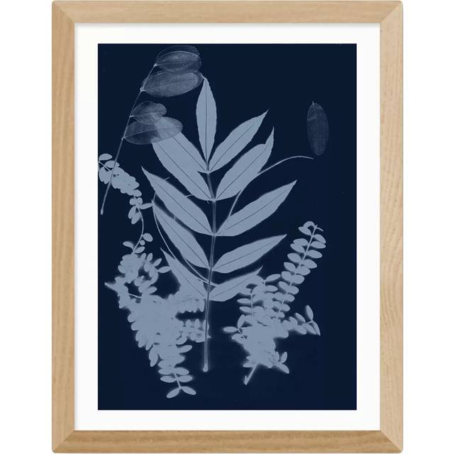 EAST END PRINTS Herald Black 'Cyano Foliage 1' Framed Print