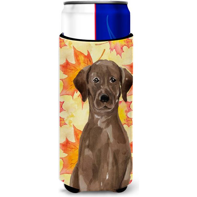 Caroline's Treasures Chocolate Labrador Fall Decorative Can Hugger  Slim  Multicolor
