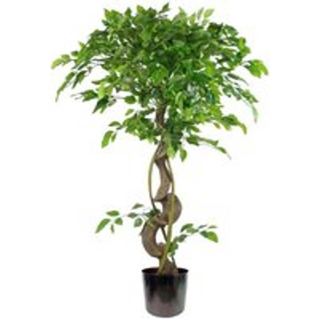 Large Artificial Japanese Fruticosa Ficus Tree Rainbow 120Cm 4Ft Realistic Botanik, Green