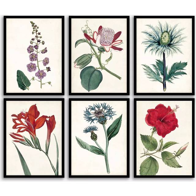 John Lewis 'Garden Botanicals' Framed Prints, Set of 6, 42 x 32cm, Multi