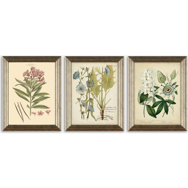 Botanical Florals Framed Prints, Set of 3, 47 x 37cm, Green/Multi