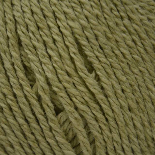 Rowan Cotton Cashmere - Linden Green (220)