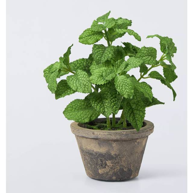 John Lewis Artificial Mint Plant in Rustic Ceramic Pot