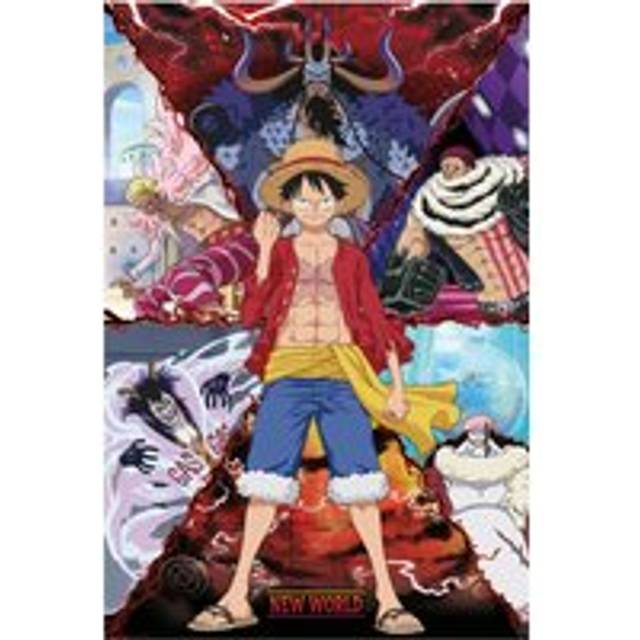 One Piece Poster Luffy.. vs. New World
