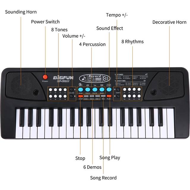 BIGFUN 37 Keys USB Electronic Organ Kids Electric Piano with Microphone Black Digital Music black