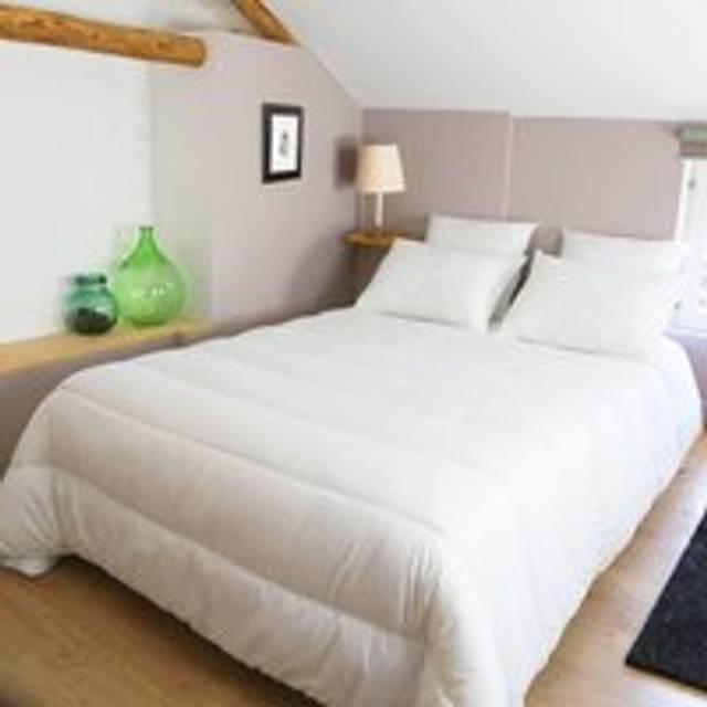 Vegetal Protect Anti-Mite Mid Weight Duvet - White - DOUBLE (200X200cm)