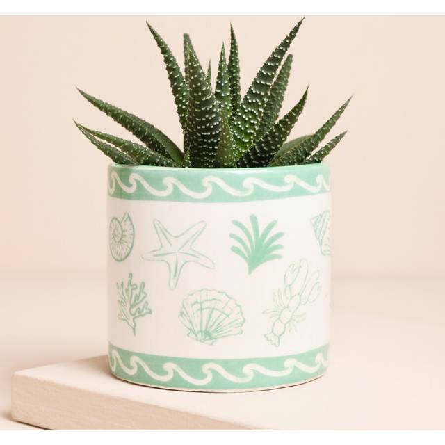 Green Seashells Ceramic Mini Planter - green/white/cream - one size