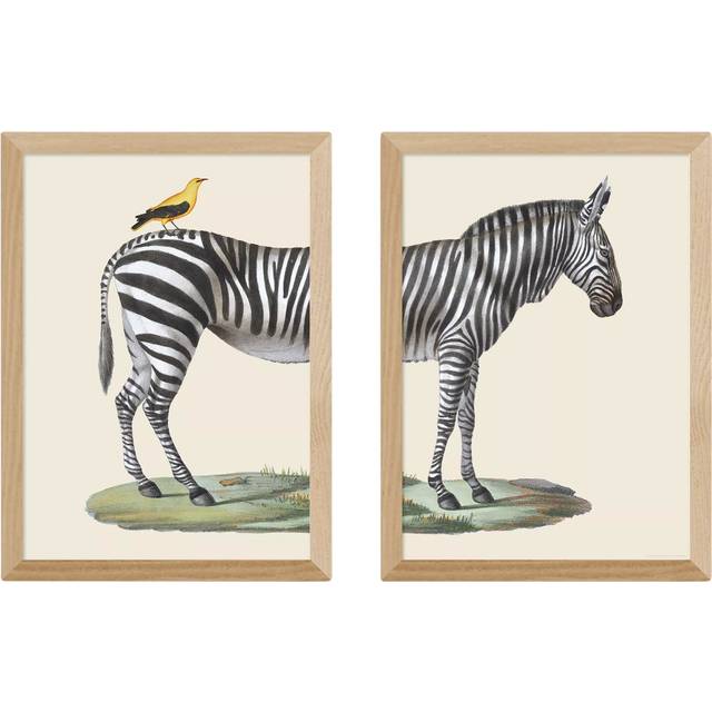 EAST END PRINTS Natural History Museum 'Zebra & Bird' Framed Print, Set of 2