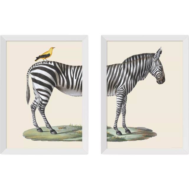 EAST END PRINTS Natural History Museum 'Zebra & Bird' Framed Print, Set of 2