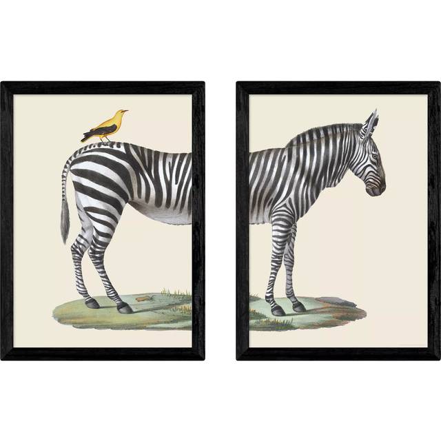EAST END PRINTS Natural History Museum 'Zebra & Bird' Framed Print, Set of 2