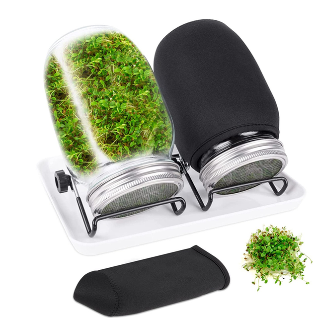 Seed Jar Kit with 2 Wide Mouth Jars Bean with Mesh Screen Lids