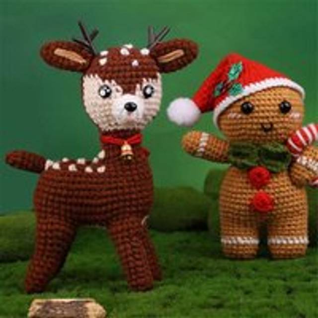 Tlily - Beginner Crochet Kit Succulent Christmas Series Kits with Instruction Tutorials Video Yarn Hook Needle
