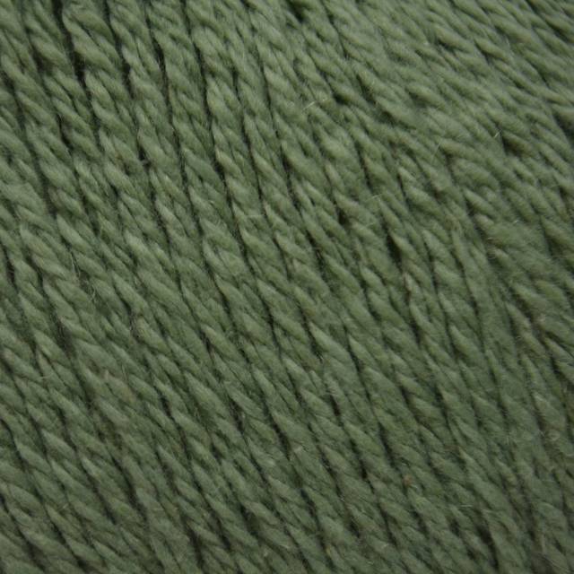 Rowan Cotton Cashmere - Forest Hill (229)