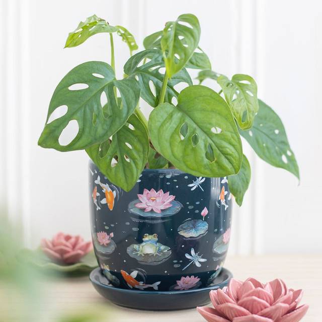 Pond print plant pot with saucer