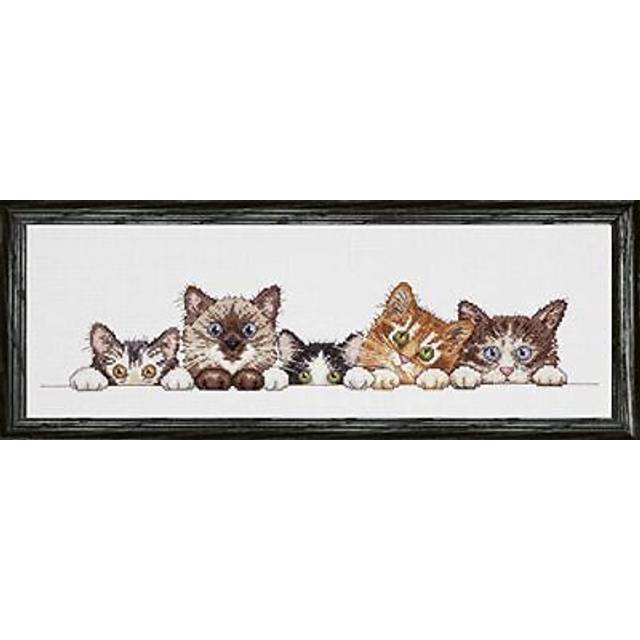 Curious Kittens Cats Counted Cross Stitch Kit