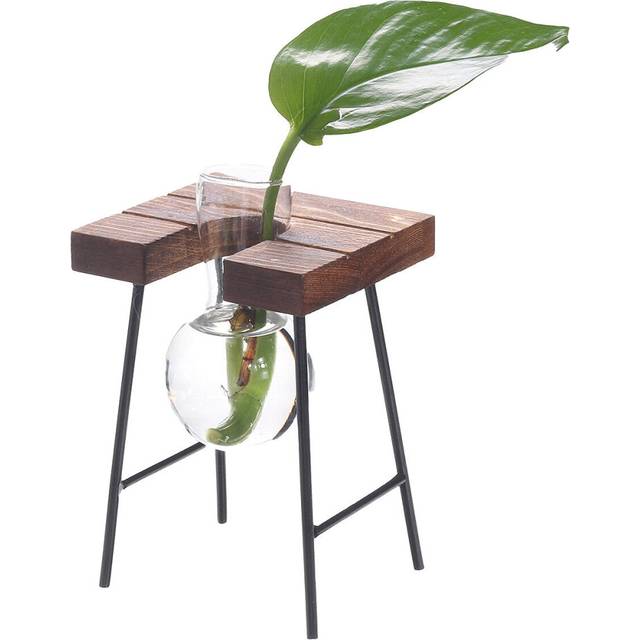 (1) Ball Shape Glass Vase Plant Hydroponic Container Flower Bottle Table Desk Decor with Wooden Shelf Stand