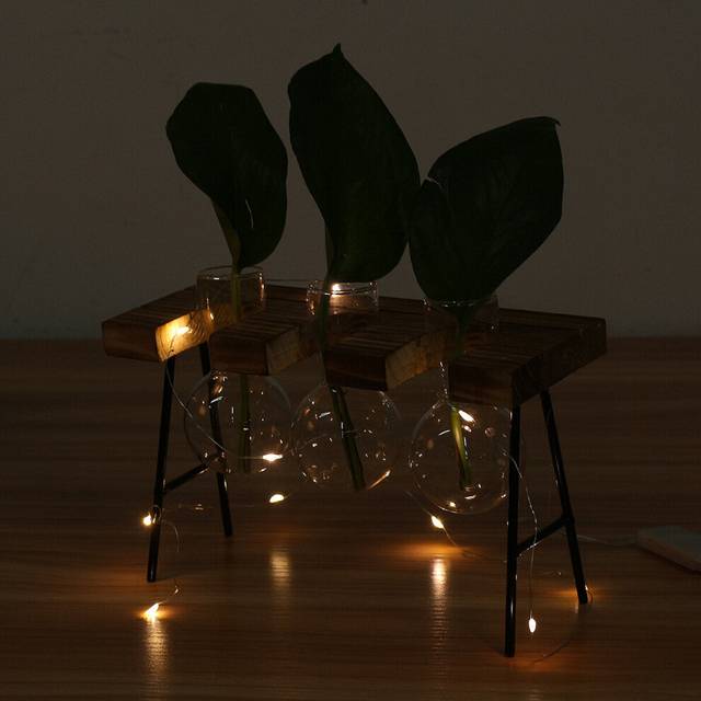(4) Ball Shape Glass Vase Plant Hydroponic Container Flower Bottle Table Desk Decor with Wooden Shelf Stand
