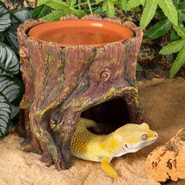 Reptile Hide Cave Moisture Keeping Reptile Cave Basin - Natural (13.2cm H X 13.2cm W X 13.2cm D)