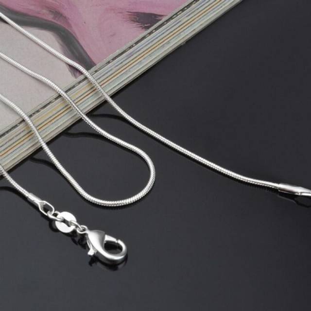 (silver, 50 cm) European Style Fashion Unisex Round Snake Chain Long Necklace Chains