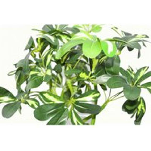 70cm Artificial Plant Bonsai Bush Twisted Stem Golden Capella