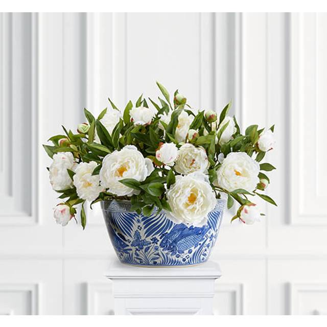 Pion krukväxt vit - Vit / Grön (H: 50 cm)