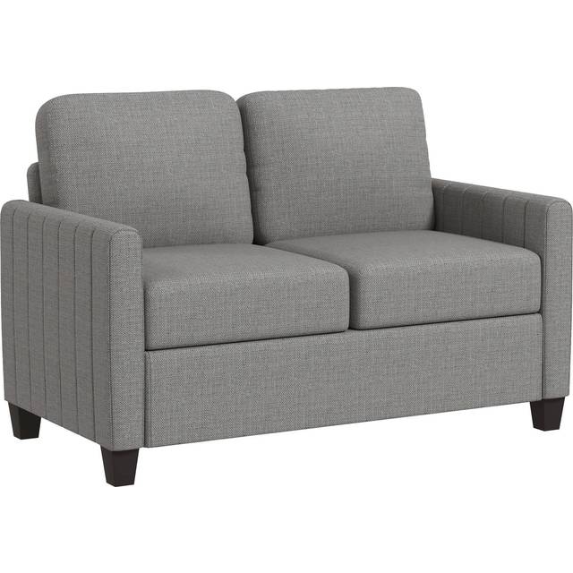 HOMCOM Modern 2 Seater Sofa with Spring Cushion, Back Pillow, Grey
