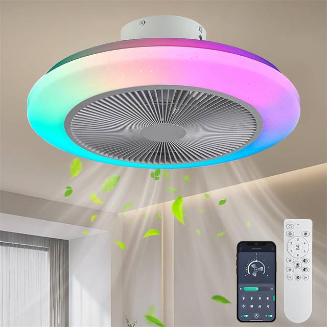 RGB Ceiling Fan Flush Mount Modern Indoor LED Dimmable Low Profile Ceiling Fans