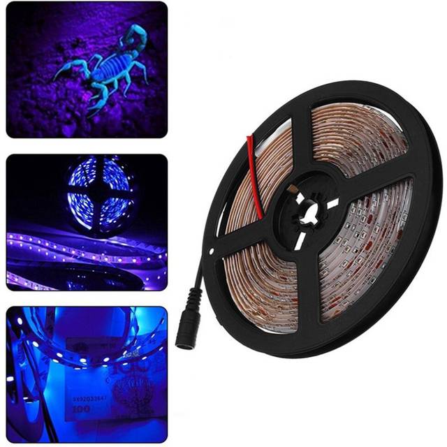 5M 36W 3528SMD Waterproof Flexible Purple 300 LED Strip Light with DC Connector DC12V