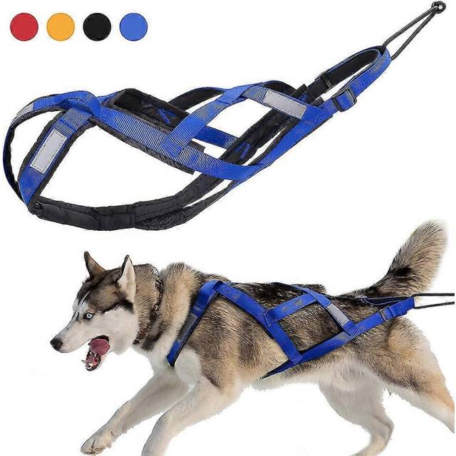 (Blue, 3XL) Dog Sledding Weight Pulling Harness Reflective for Pets Training