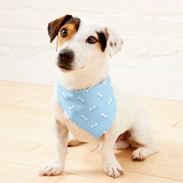 (Bone Blue=522) 2-in-1 Pet Bandana Collar with Quick Release Buckle & D-Ring Adjustable Cat Scarf for Large/XLarge/XXLarge Dogs, Double-Sided Polyeste