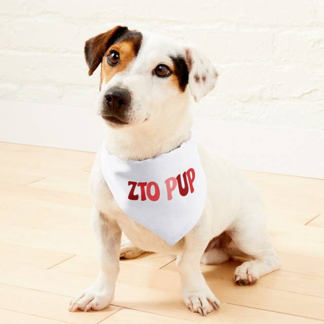 (ZTO Pup=1250) 2-in-1 Pet Bandana Collar with Quick Release Buckle & D-Ring Adjustable Cat Scarf for Large/XLarge/XXLarge Dogs, Double-Sided Polyester